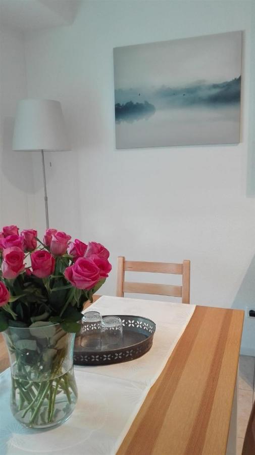 Ferienwohnungen Op Der Kees Irsch Extérieur photo
